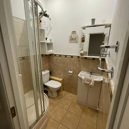 Flat In Front Of Station Apartment *