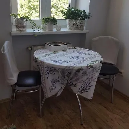 Apartment Flat In Front Of Station